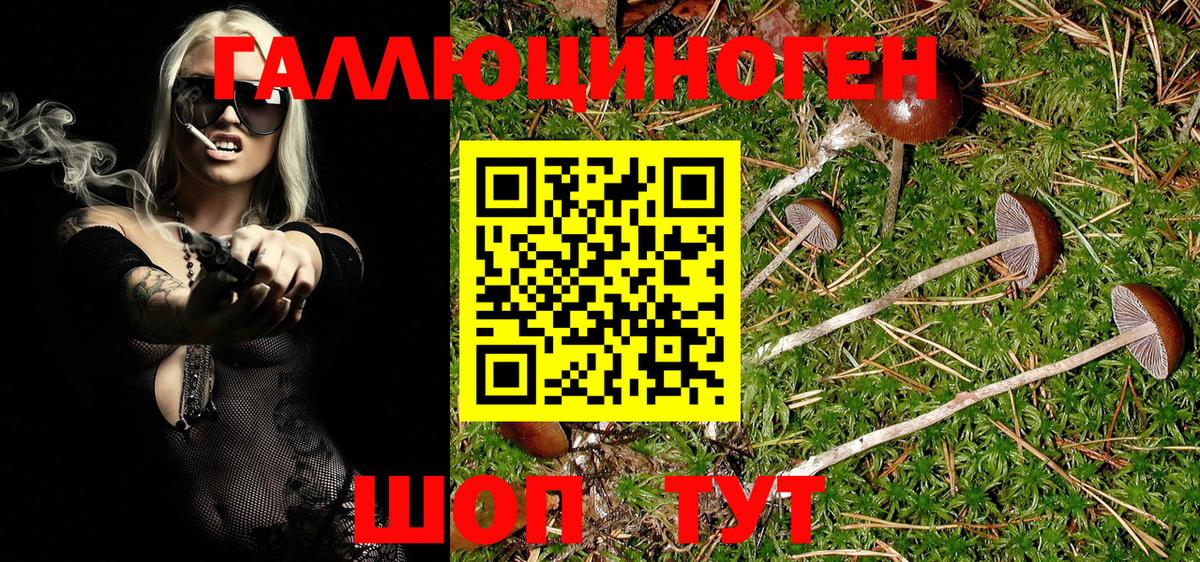Рузаевка  Галлюциногенные грибы GOLDEN TEACHER  Вход с VPN  Галлюциногенные грибы MAGIC MUSHROOMS 